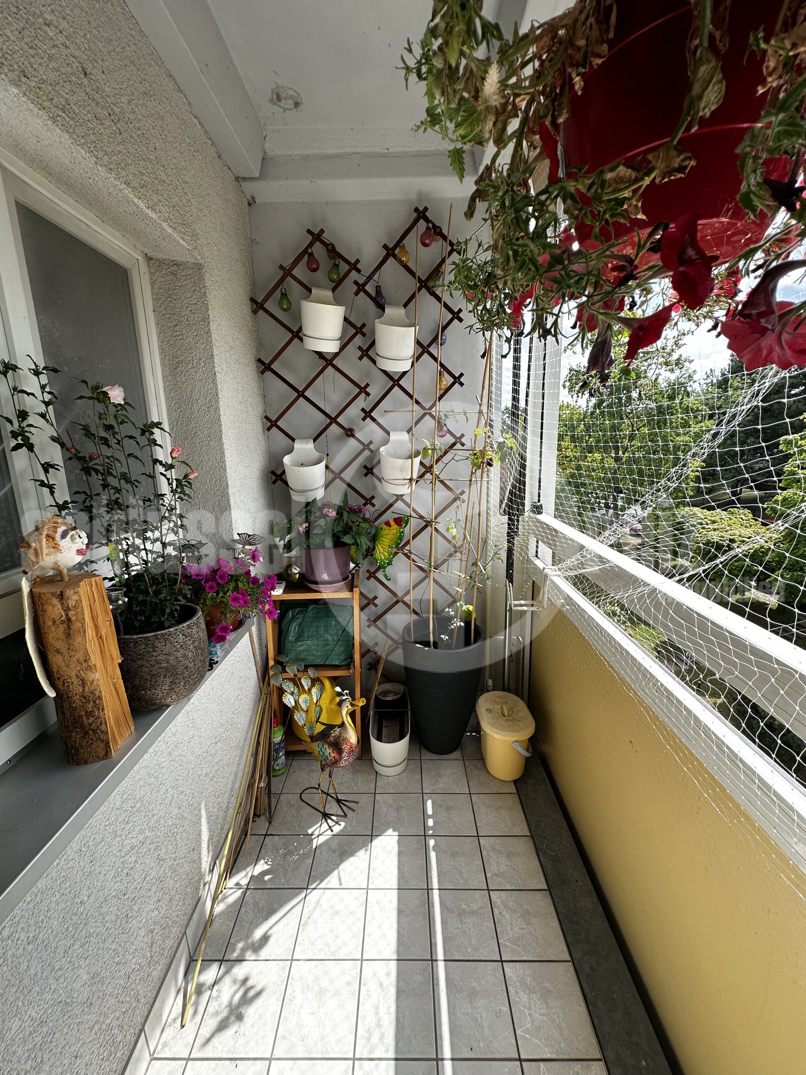 Balkon/Loggia - offener Bereich